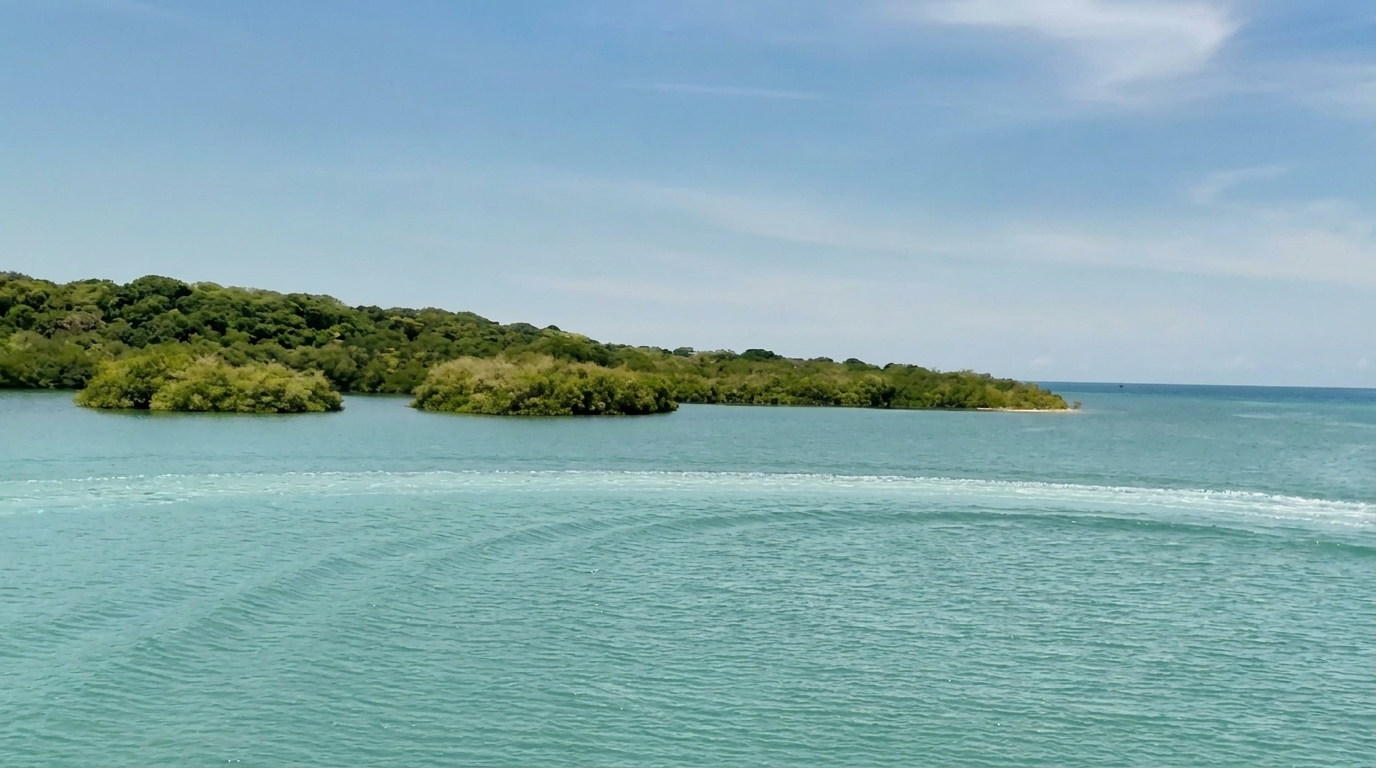 Ciénaga de los Vásquez - foto 5
